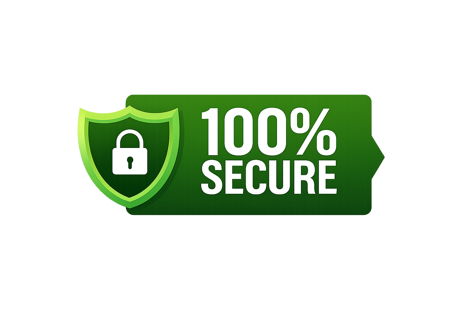 100 percent secure payment